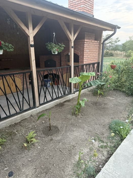 Pui bananier la giveci