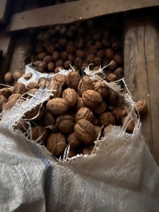 Nuci din sezon mari