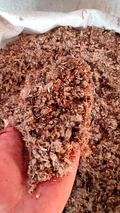 Шурха, sholxa, Шулуха чигит, Шурха, Ем мол куй учун