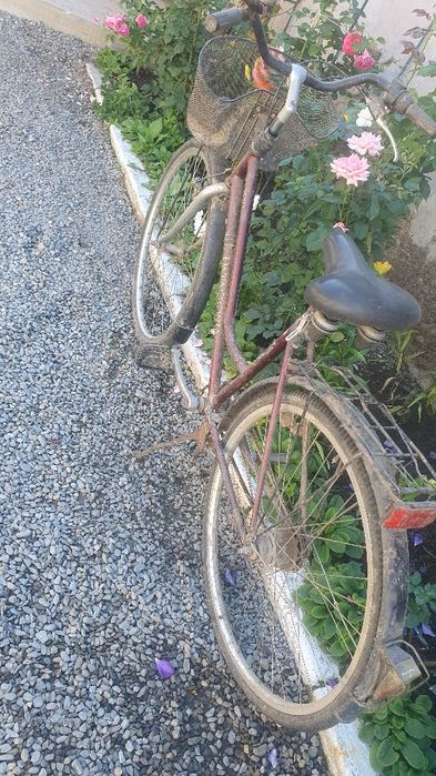 Bicicletā Damā pe 28.