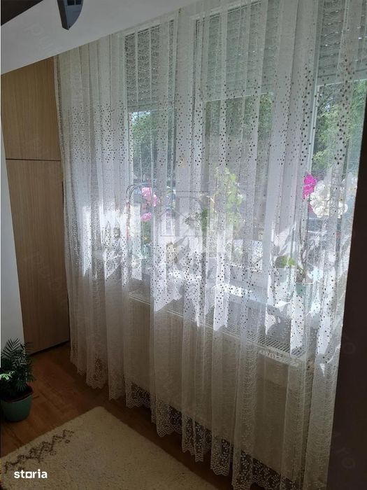 Apartament 1 camera-Lipovei — fotografia 3