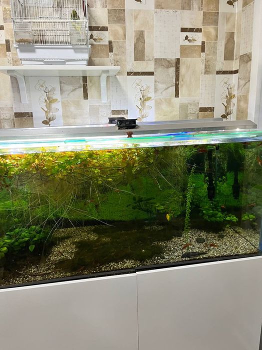 Аквариум с рыбками