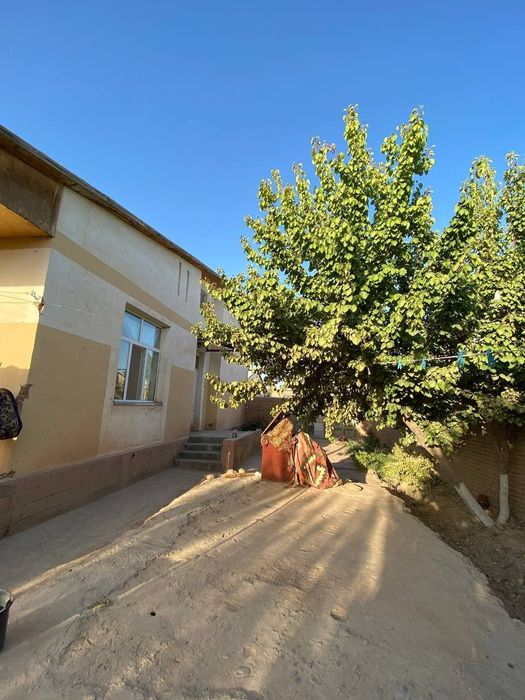 Surxondaryo viloyati Angor tumani Yangi shahar to'yxonasi yaqinida