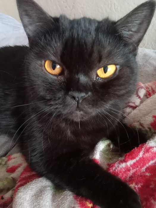 Красоту в добрые руки!