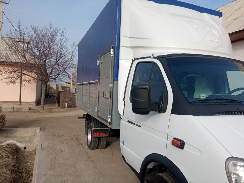 Gazel biznes sotka mator