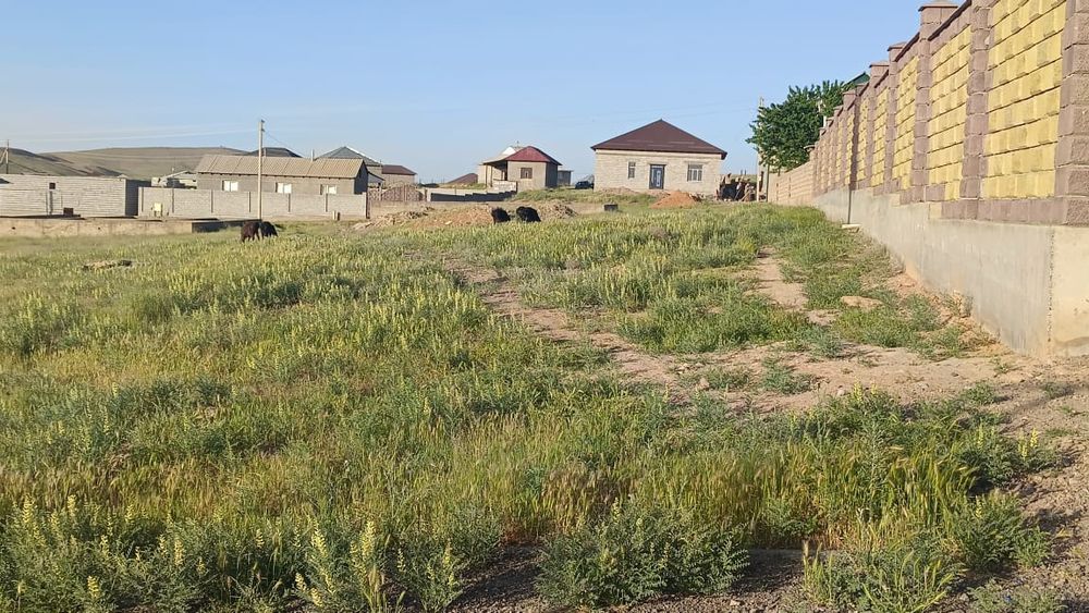 Сарыағаш қаласында 10 соттық жер сатылады 

10 соттық жер телімі фунда