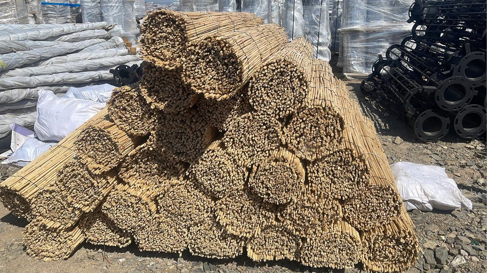 Обалденный камыш