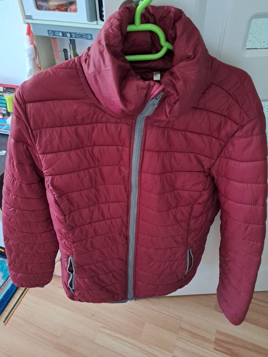 Geci primăvara dama