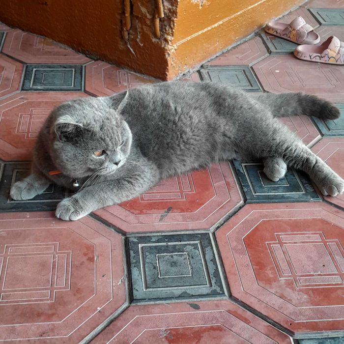 Klub XXX Yekaterinburg