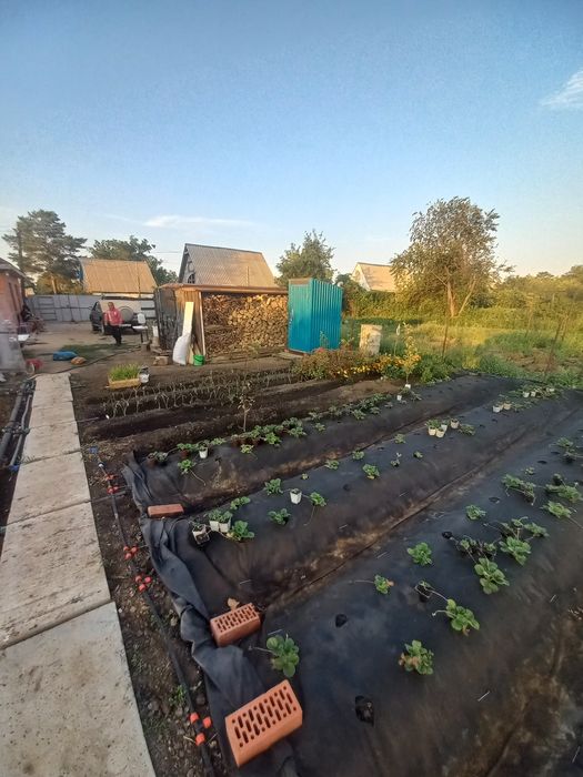 Продам дачу в районе саздинского водохранилища