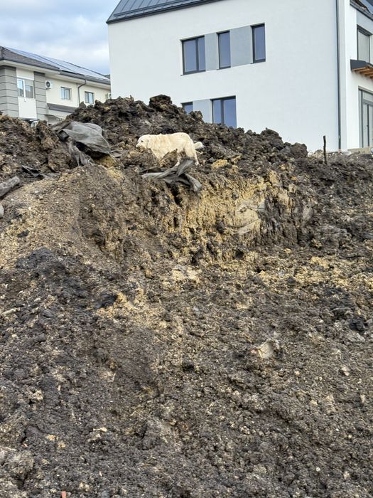 Pamant pentru umplutura