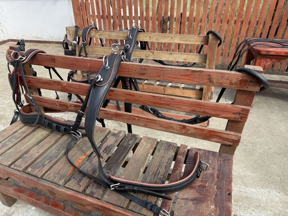 Vand doua hamuri complete de maraton/trasura!