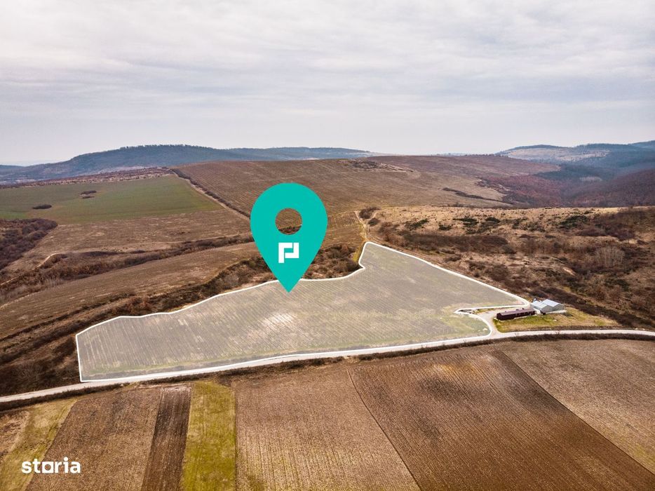 Vie de 115 Hectare în satul Dud, județul Arad