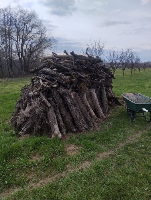 Lemne pentru foc