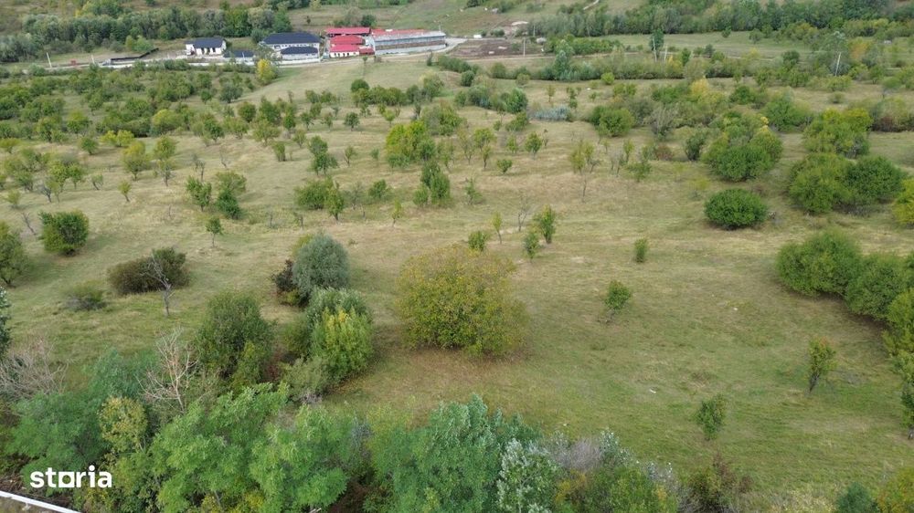 Teren 8.043 mp la DN73C Berevoesti – 3€/mp! Oportunitate rara