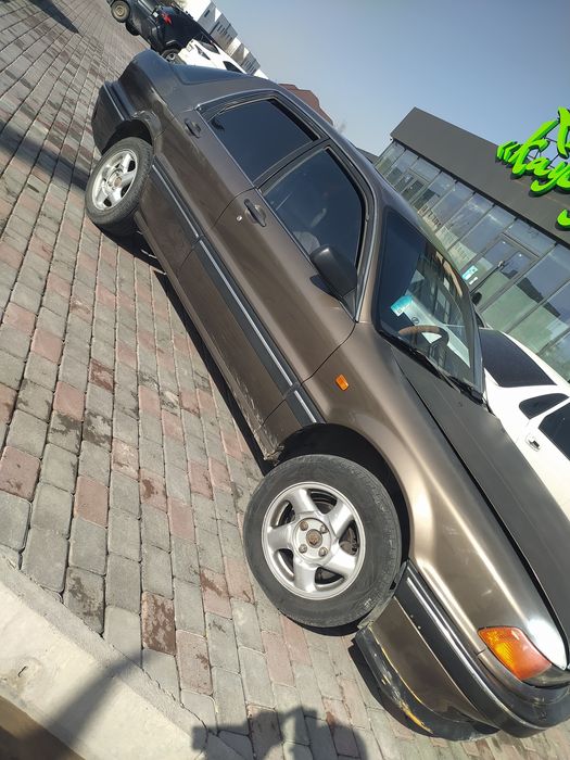 Галант сатылады срошна сатылады маи жемиды журысы жаксы маида шуиде жу