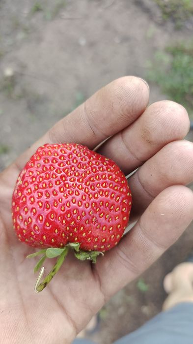 Продам Дачу за теплым каналом