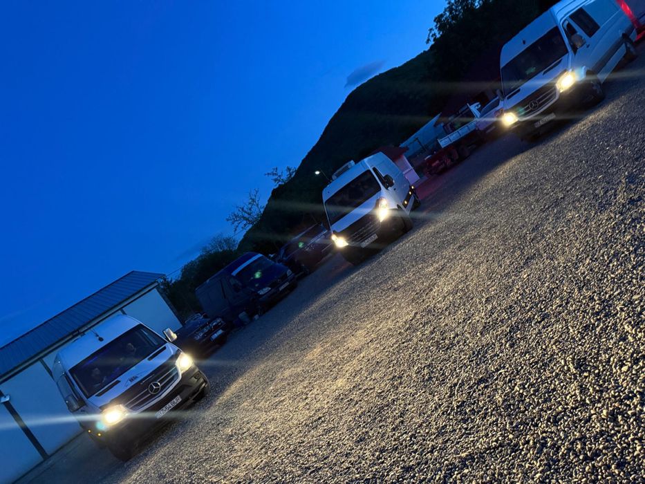 Plecari Anglia  Germania Belgia