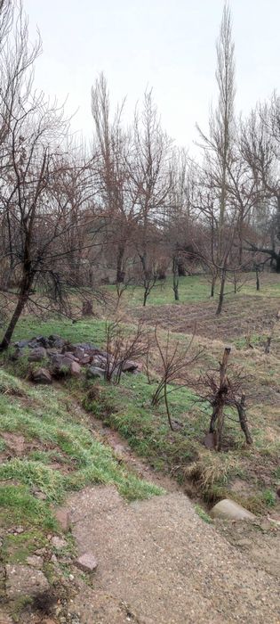 Oqtosh hondoyliqda dacha qurish uchun yer sotiladi