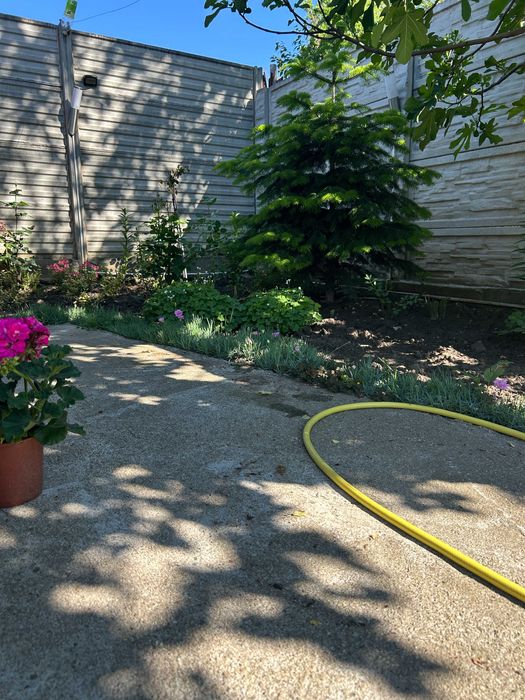 Casă P+M+SC Parc-Corneliu Coposu 2019