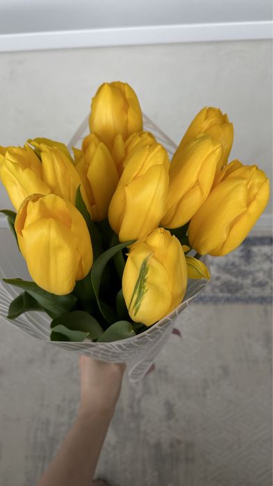 Свежие большие тюльпаны