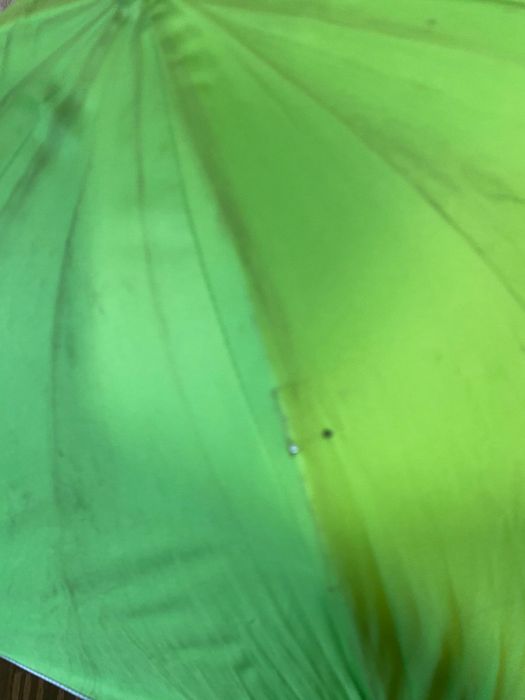 Зонт на коляску.