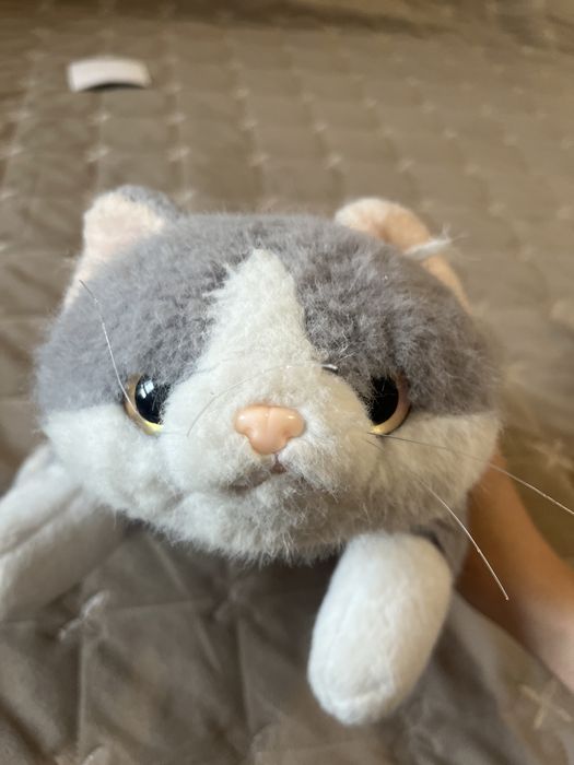 мягкая игрушка кота