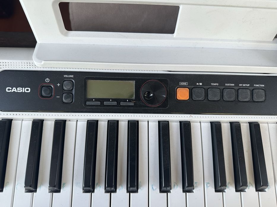 Casio CT-S200 Orga
