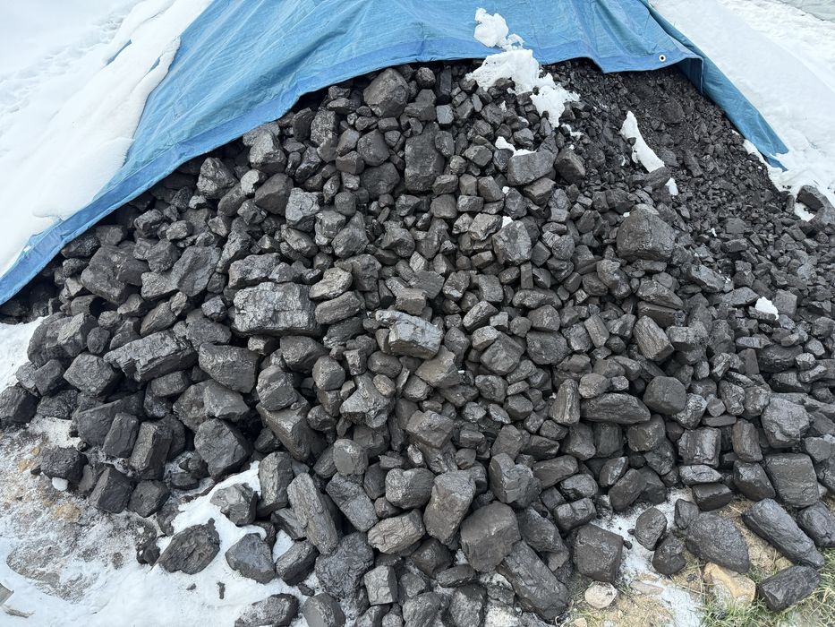 Уголь комир көмір шубаркол