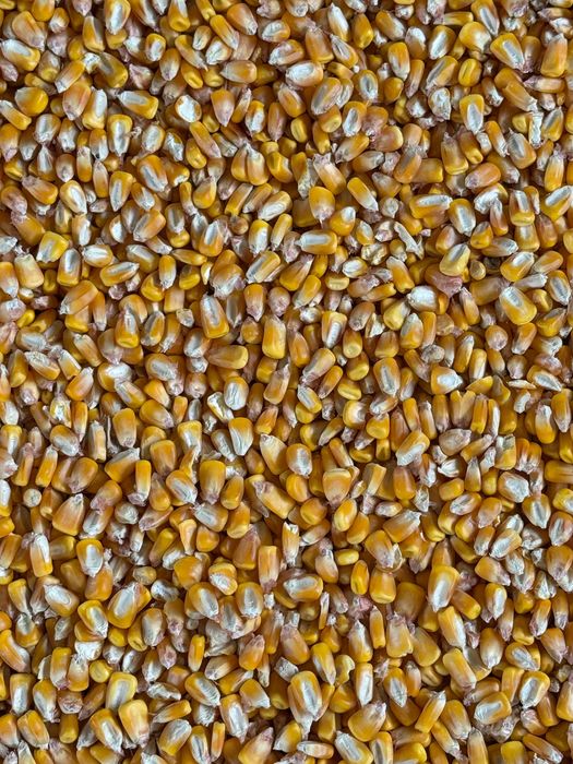 Vând cereale românești