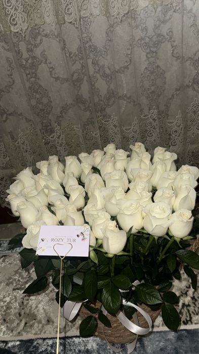 Розы класное 49шт