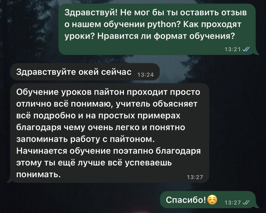 Репетитор Python - проффесиональный репетитор пайтон