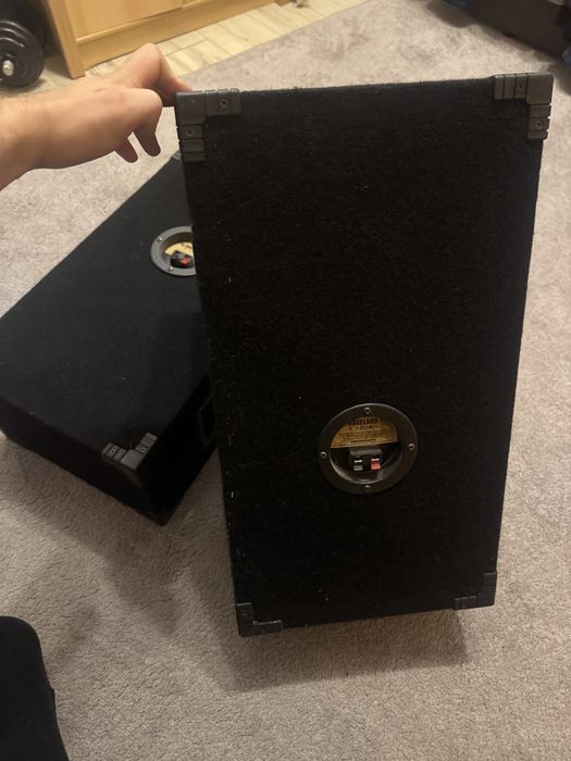 Vand doua boxe 300w ambele 600w