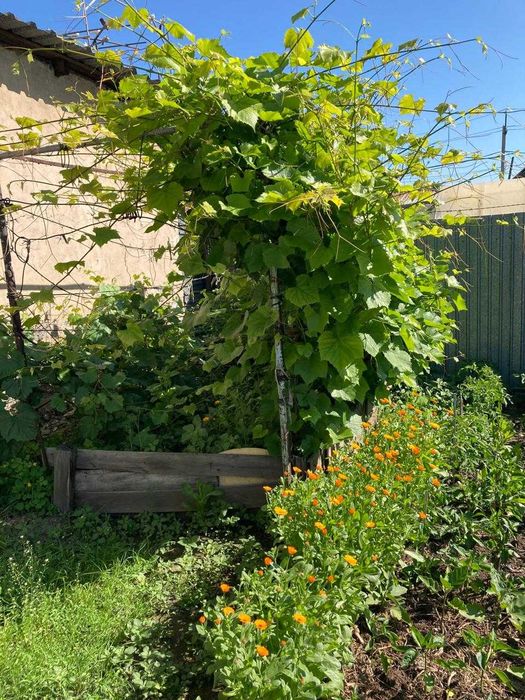 Продаю/ или обмен  дома