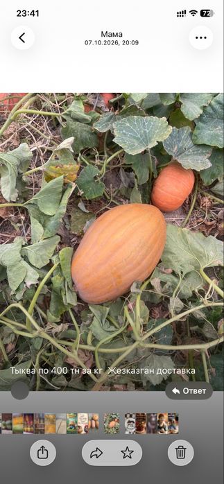 Продам тыквы ,вкусные, сладкие