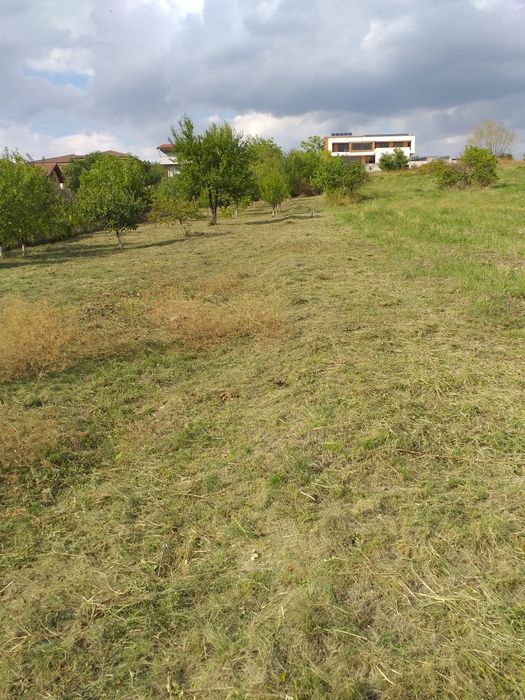 Curăț terenuri defrișez