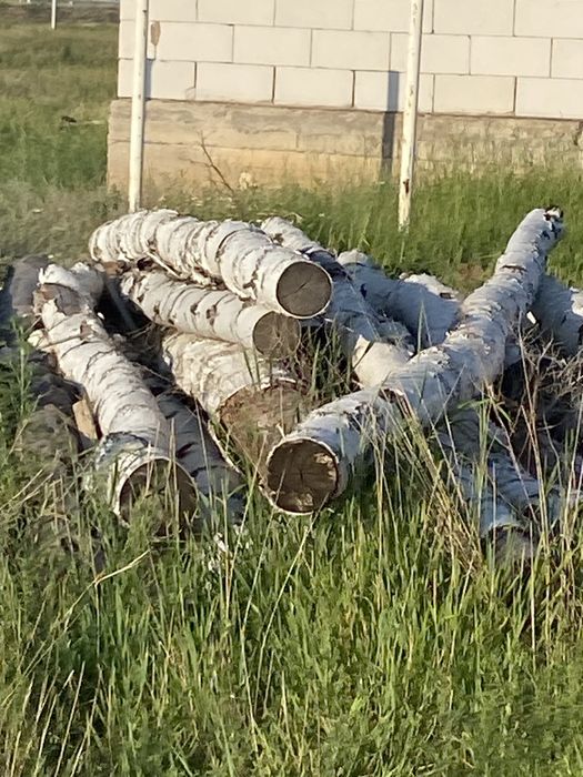 Деловой лес , бревна