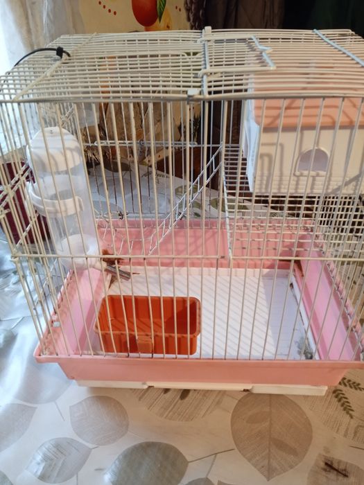 Продам клетка для хомяк