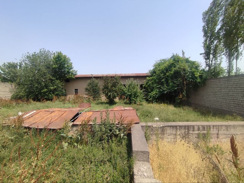 Барданкуль, Bardanko'l, Срочно арзон ер