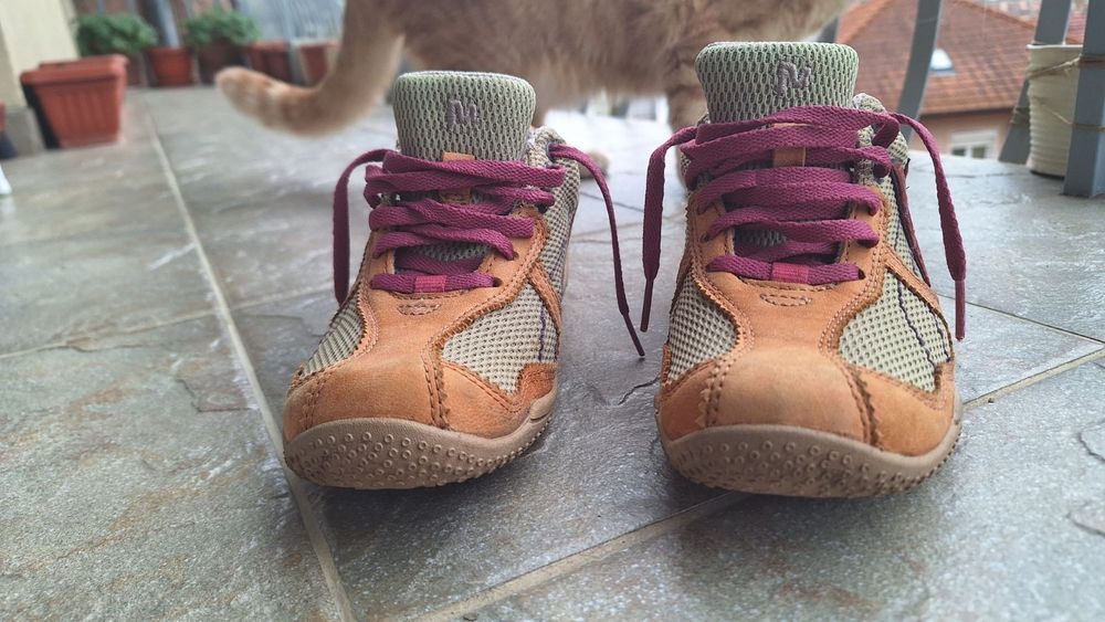 Merrell 37 номер
