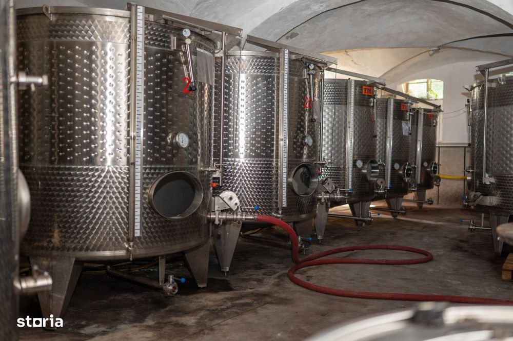 Cramă Premium De Vânzare -60 Ha- Conac Istoric- Podgoria Drăgășani