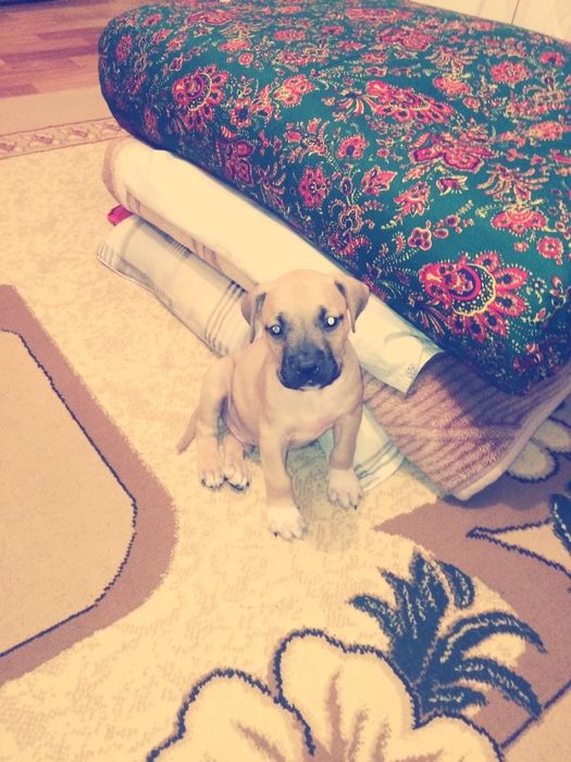 Обмен обмен обмен