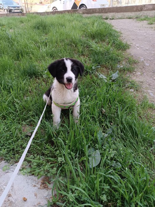 Только в ответственные руки!