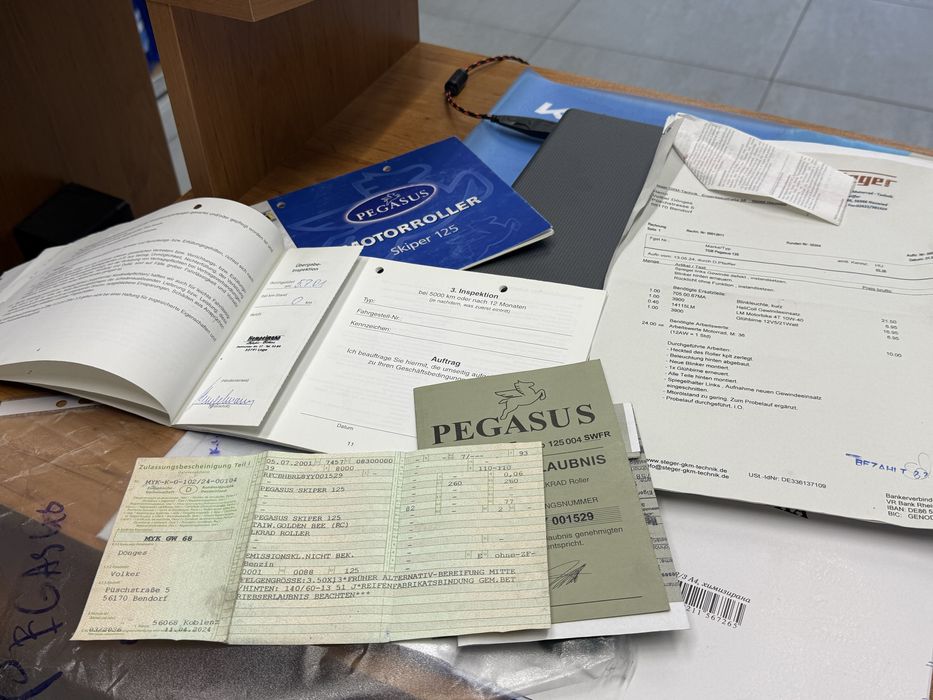 Pegasus Skiper 125кубика