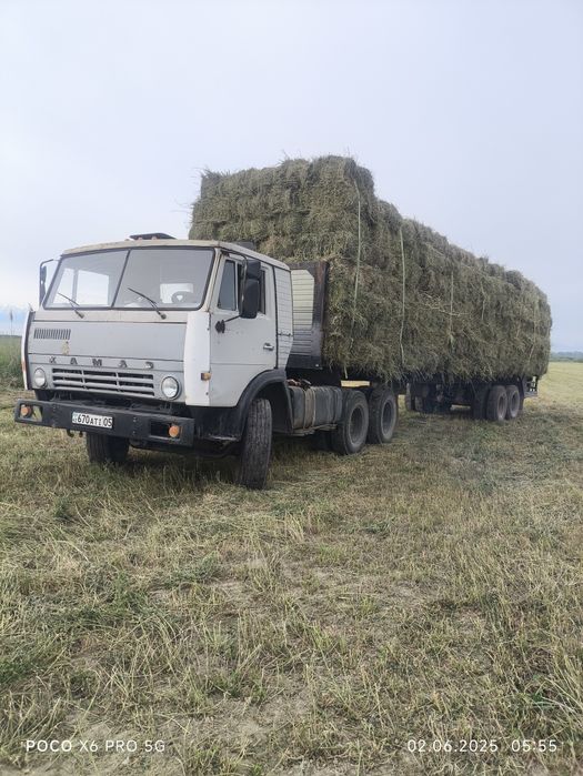 Сено тюк люцерно