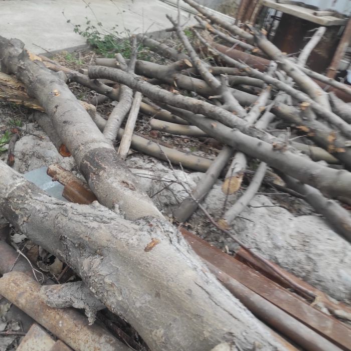 Дрова сухие продам