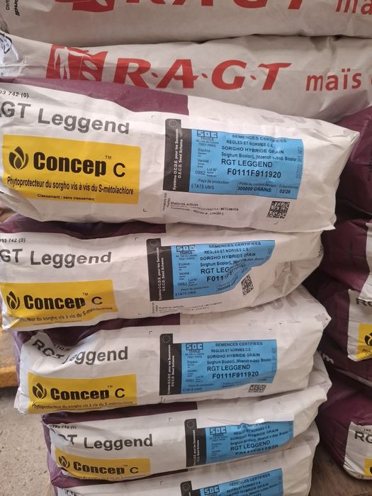 Samanta sorg rosu RAGT