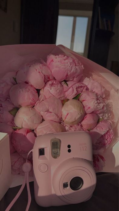 Fujifilm Instax mini 12