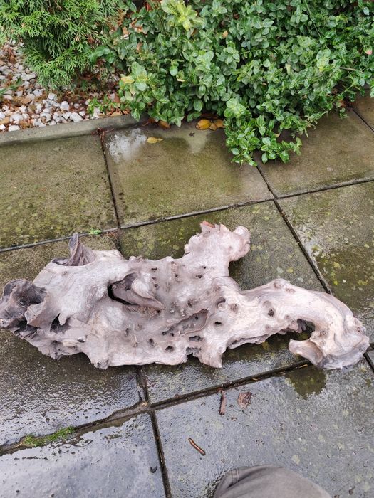 Lemn decor pentru acvariu