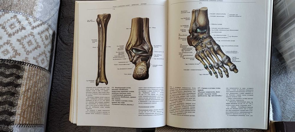 Атлас по анатомияна човека Синельникови 1,2 и 3 том